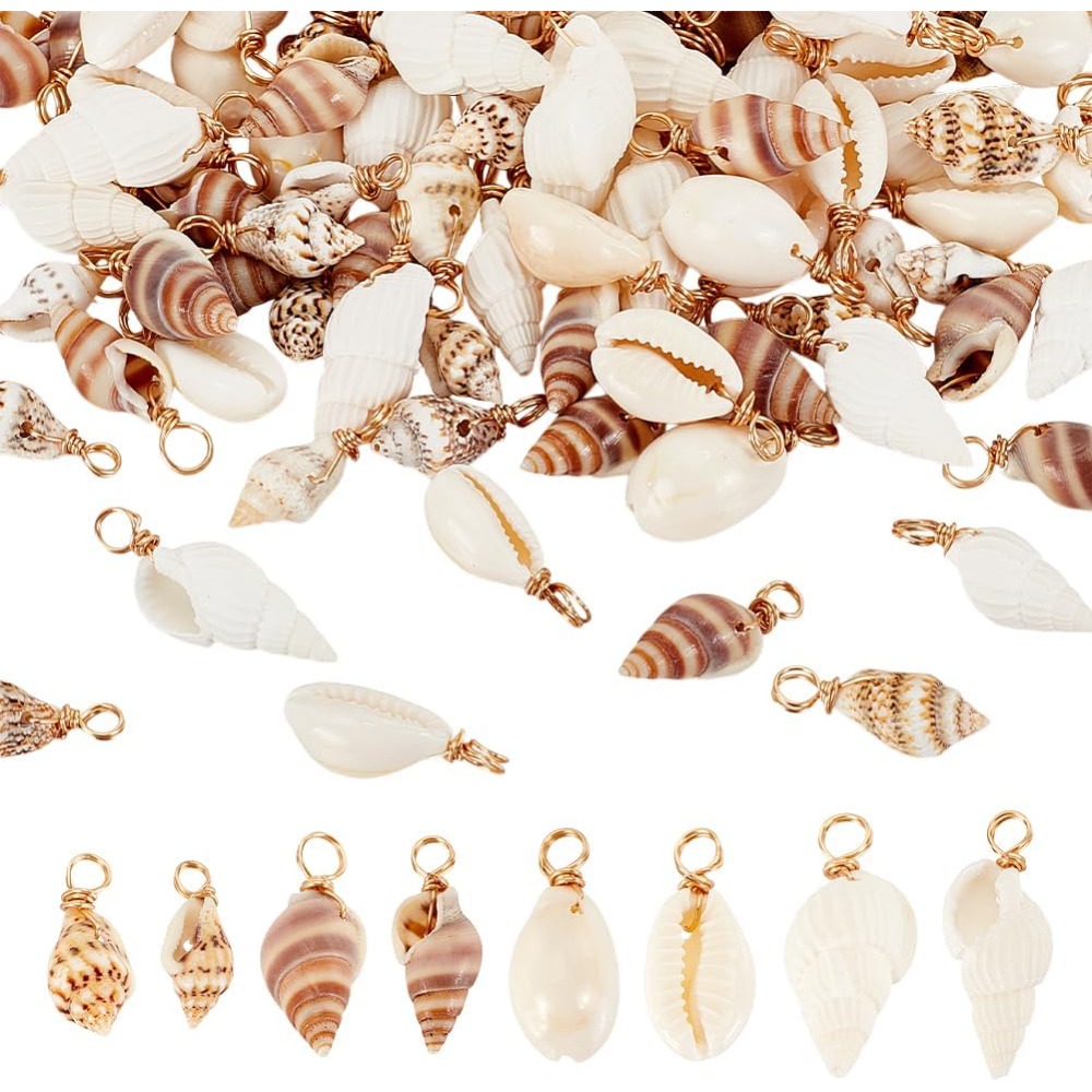 100pcs 4 Styles Natural Shell  – Jewelry Making Online Bewertung und Preis