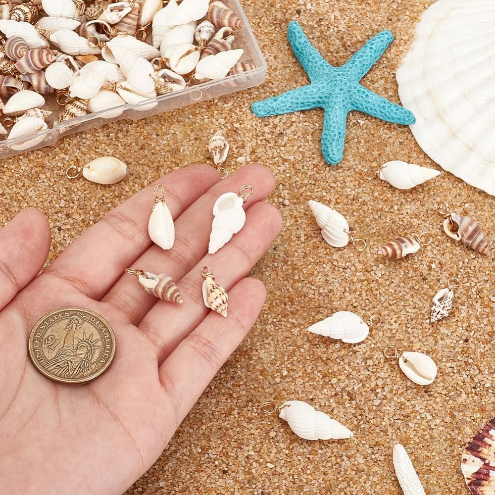 100pcs 4 Styles Natural Shell  – Jewelry Making Online Bewertung und Preis