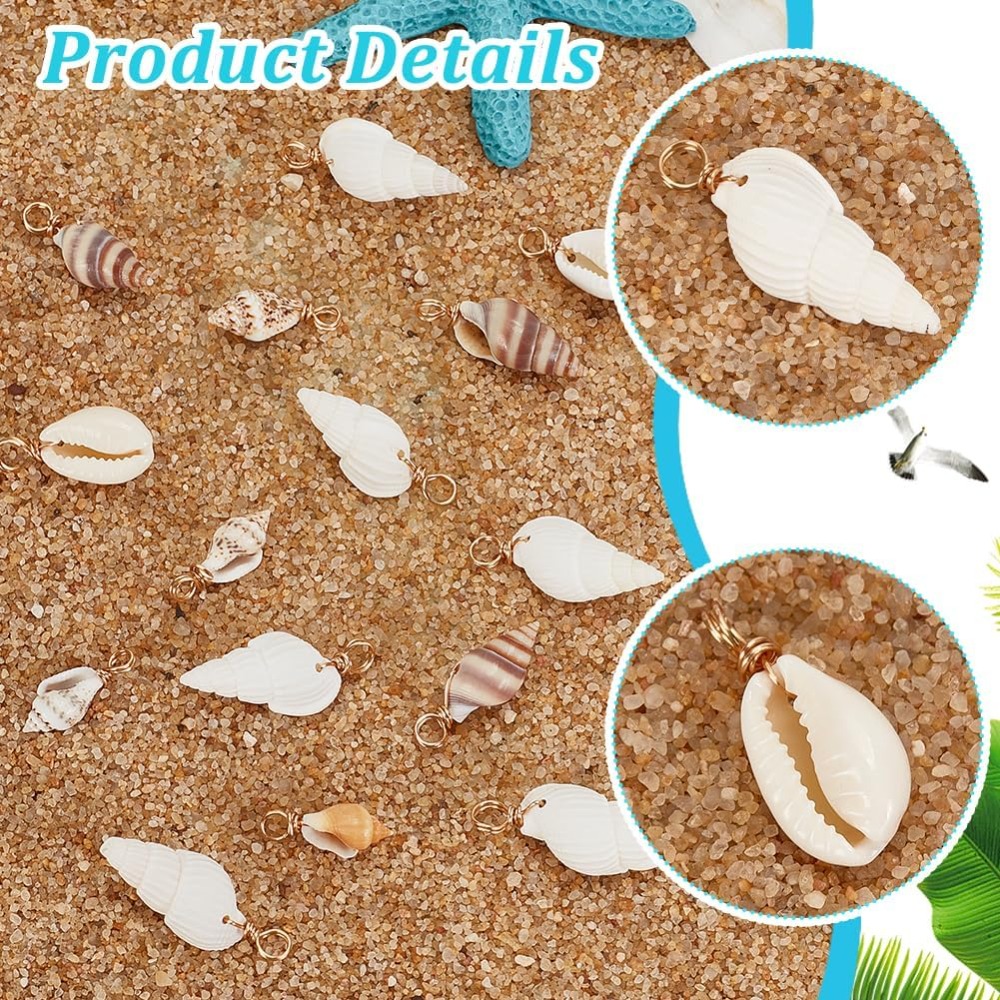 100pcs 4 Styles Natural Shell  – Jewelry Making Online Bewertung und Preis