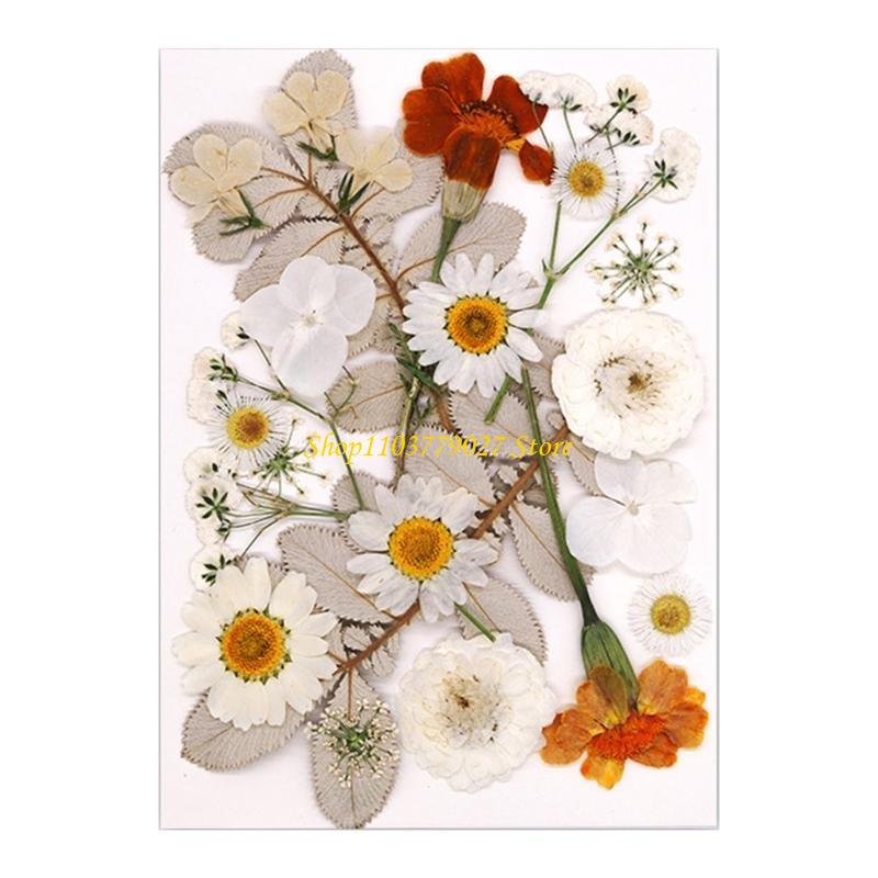 C4DF 22Pcs Dried Flower For Bo – Jewelry Making Party For Adults Bewertung und Preis