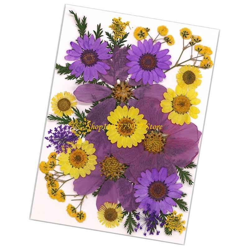 C4DF 22Pcs Dried Flower For Bo – Jewelry Making Party For Adults Bewertung und Preis
