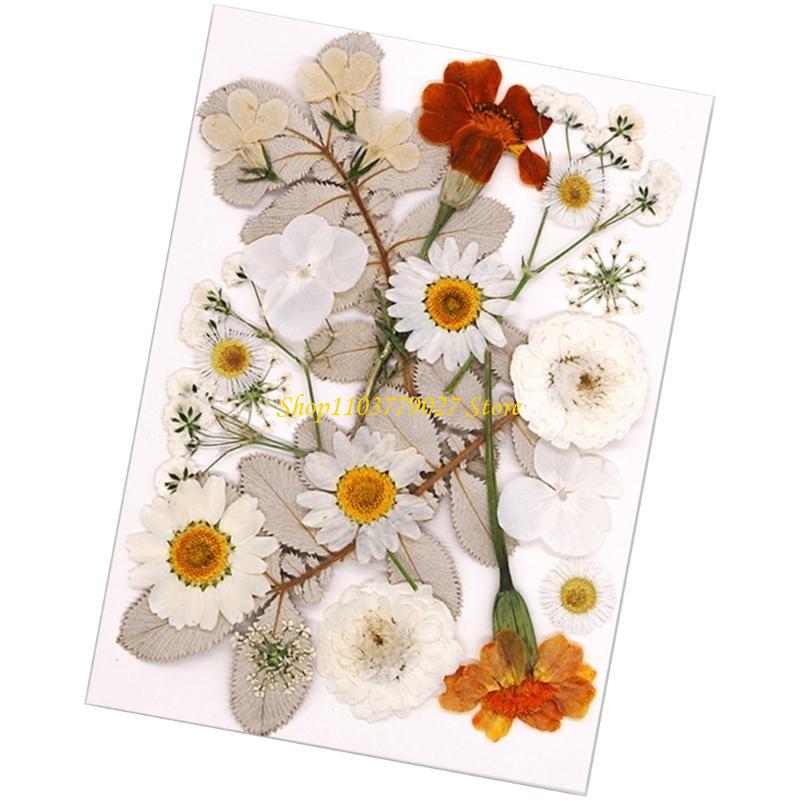 C4DF 22Pcs Dried Flower For Bo – Jewelry Making Party For Adults Bewertung und Preis